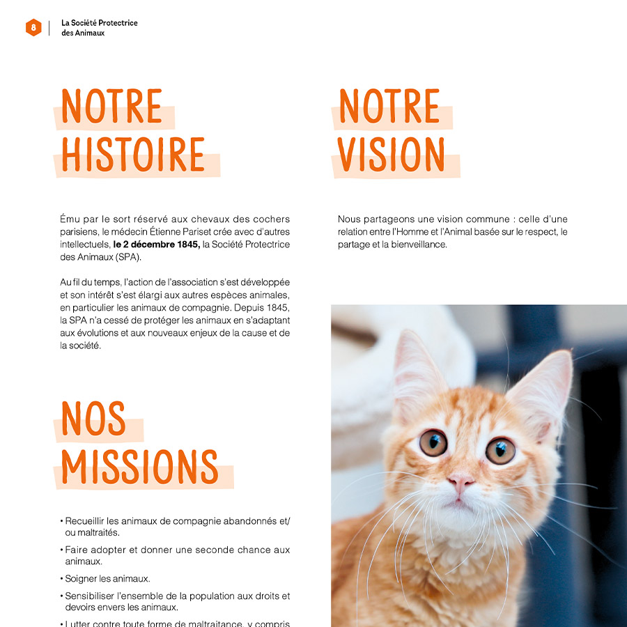 agence de communication, rapport d'activité, animaux, protection, lutte contre l'abandon, fonds