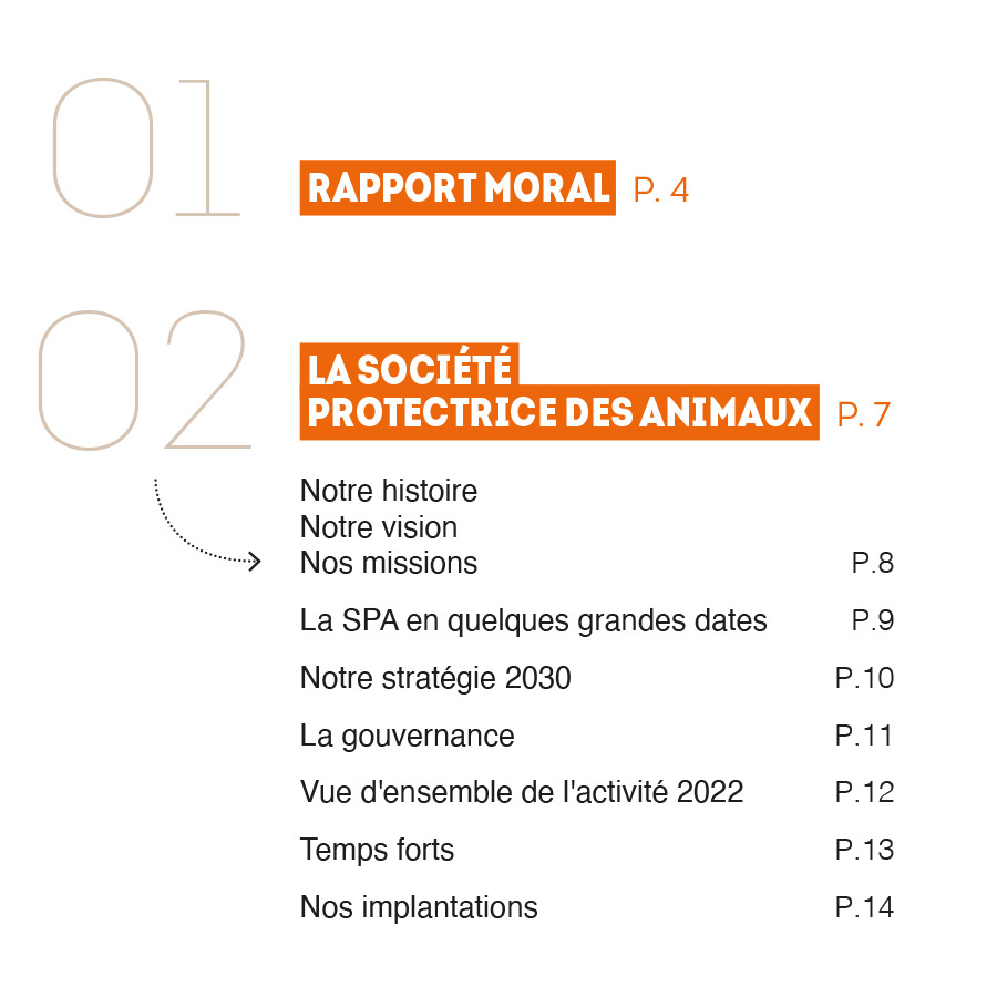 agence de communication, rapport d'activité, animaux, protection, lutte contre l'abandon, fonds