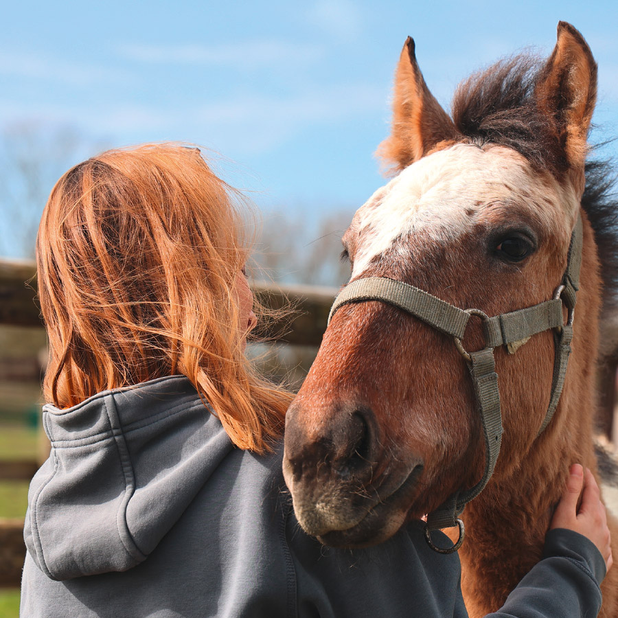 agence de communication, rapport d'activité, animaux, protection, lutte contre l'abandon, fonds